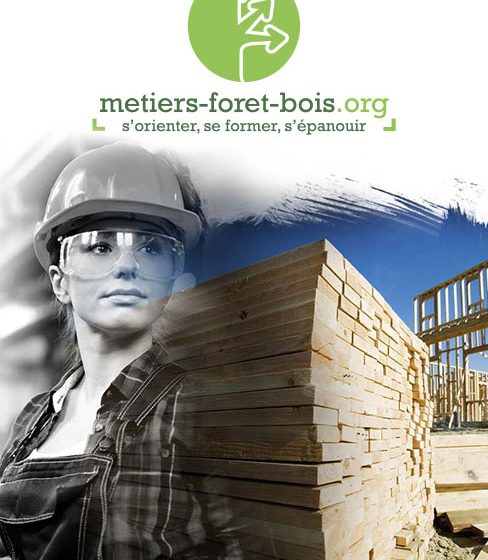 MFB cover