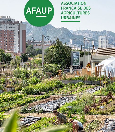 AFAUP